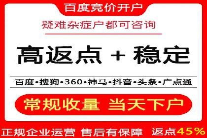 竞价广告投放技巧与案例分析